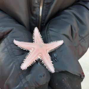 Meet your Posher, Gabi